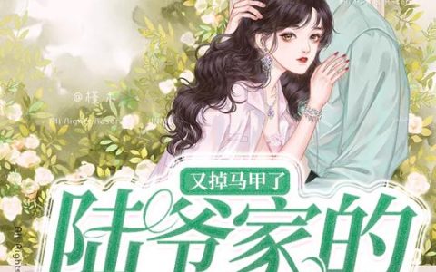 《陆爷家的团宠夫人又掉马甲了》小说章节目录陆辰衍,洛儿全文免费阅读
