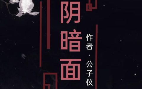 《阴暗面》小说章节目录全文免费阅读