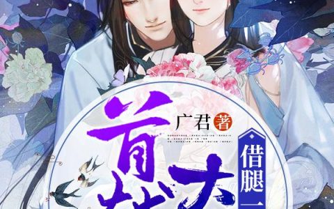 《首辅大人借腿一抱》小说章节目录全文免费阅读