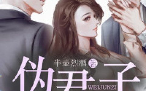 霍起笙顾澜音《伪君子》小说最新章节免费阅读