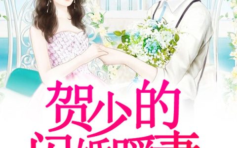 秦以悦贺乔宴《贺少的闪婚暖妻》小说最新章节免费阅读