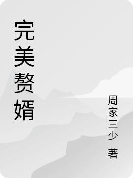 完美赘婿