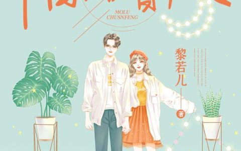 《陌路春风》小说章节目录肖老太,肖先生全文免费阅读
