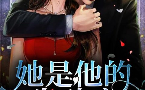 《她是他的朱砂痣》小说章节目录夜瑾瑶,雷得夜瑾瑶全文免费阅读
