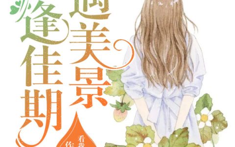 《恰逢佳期遇美景》黎美景顾母小说免费阅读全文