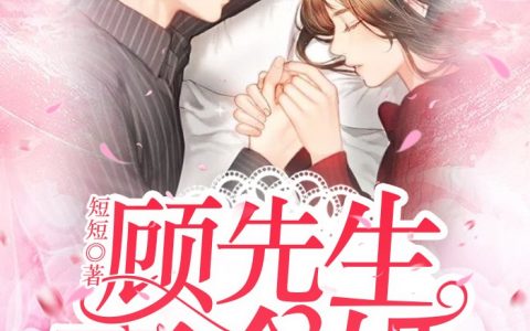 林念念《顾先生：离个婚》林念念顾一沉小说免费阅读