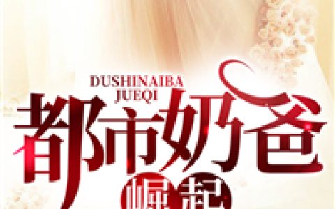 马婷，张浩《都市奶爸崛起》小说全文免费阅读