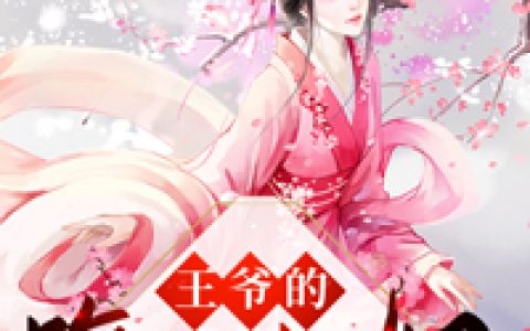 王爷的腹黑宠妃（诺儿，李总管）最新章节在线免费阅读