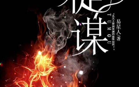 易星辰时渊小说最新章节,《徒谋》易星辰时渊全文免费阅读