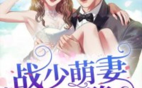 战少萌妻从天降（陆星宸，林棠晚）小说在哪里可以看