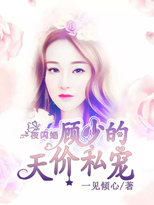 一夜闪婚:顾少的天价私宠