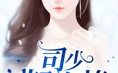 尹若晴，尹小姐小说全文免费阅读，《司少，非娶勿撩》小说最新章节