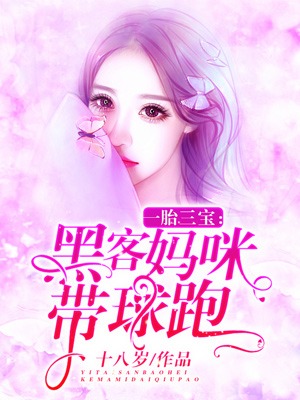 一胎三宝:黑客妈咪带球跑