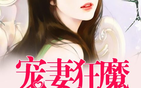 《宠妻狂魔别太坏》宫宇宸墨夜霆夏小汐小说-全文免费阅读