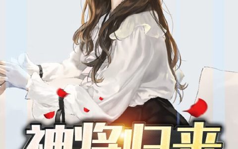【神将归来】陆云叶倾城小说-陆云叶倾城全文免费阅读