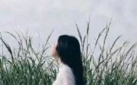 颜浠,颜泽小说全文免费阅读，《末世狩猎》小说最新章节