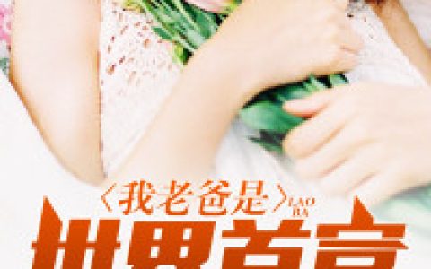 《我老爸是世界首富》朕是神一般的男人小说免费阅读全文，叶默,李蕊小说最新章节