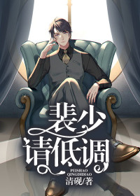 裴少,请低调