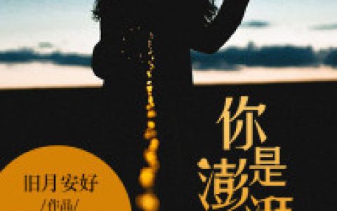 【你是澎湃的海】陈青川许开颜新婚夜小说-陈青川许开颜全文免费