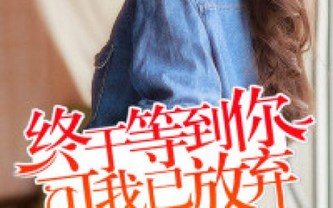《终于等到你，可我已放弃》唐颖小小说免费阅读全文，黎静静,傅一舟小说最新章节
