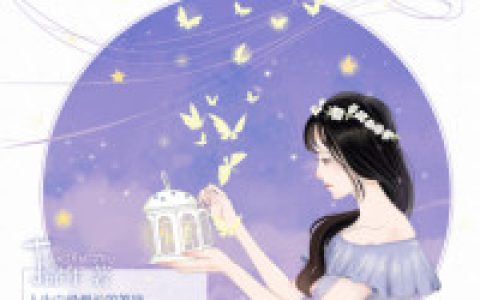 沈初雪,林间洛小说《为你点亮每一颗星》全文免费阅读