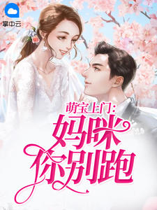萌宝上门:妈咪你别跑