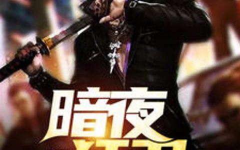 暗夜狂卫（方毅,林曦）最新章节在线免费阅读