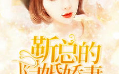 靳总的隐婚娇妻顾南北,靳凉川，靳总的隐婚娇妻小说免费阅读