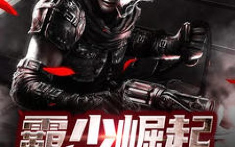 小说《霸少崛起》杨皓,袁紫涵完整版免费阅读