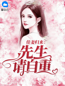 佳妻归来:先生请自重