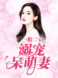 一胎二宝:溺宠呆萌妻