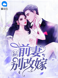 亿万婚约:前妻别改嫁