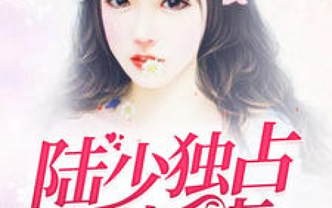 秦欢,陆清绝小说全文免费阅读，《陆少独占二婚妻》最新章节