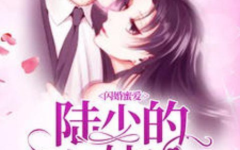 乔伊,陆景云《闪婚蜜爱：陆少的灰姑娘》小说免费阅读全文，乔伊小说最新章节