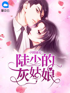 闪婚蜜爱:陆少的灰姑娘