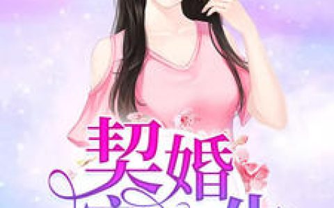 林欢欢,陆北城《契婚宠一生》小说免费阅读全文，林欢欢小说最新章节