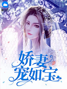 娇妻宠如宝