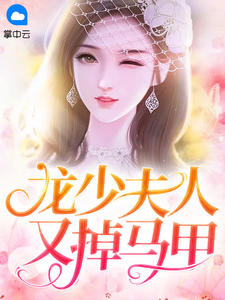 龙少夫人又掉马甲