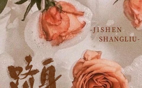 姜晚,顾庭珘《跻身上流》小说全文免费阅读