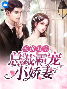 天价双宝:总裁霸宠小娇妻