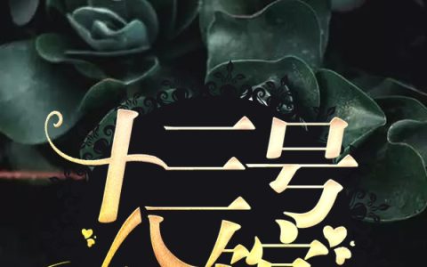 十三号公馆（童汐柔,毛襄）最新章节在线免费阅读