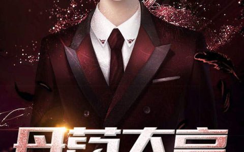 丹药大亨(白渺,王有才)小说全文免费阅读