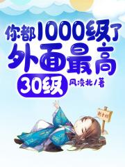 你都1000级了,外面最高30级!