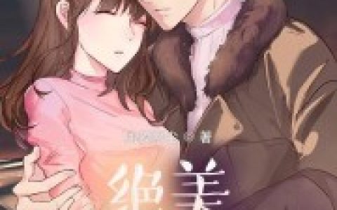 苏辰叶妙言的小说_《超凡医婿》苏辰叶妙言全文免费阅读