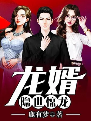 龙婿:隐世惊龙