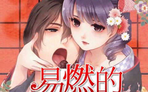 易燃的青春(许岑,林纯然)小说全文免费阅读