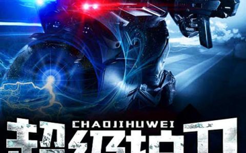 超级护卫叶天羽,林无双，超级护卫小说免费阅读