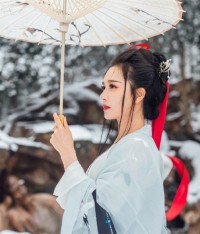 撩心王妃:这坑爹的穿越