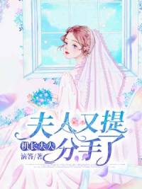 机长大人,夫人又提分手了