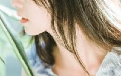 苏芷安,陆立风小说全文免费阅读，《南风随心伴君安》小说最新章节